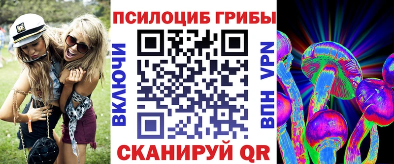 МЕГА онион  Мураши  Галлюциногенные грибы Magic Shrooms  купить наркоту 